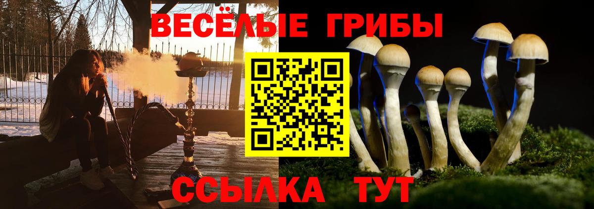 Галлюциногенные грибы прущие грибы Нарьян-Мар