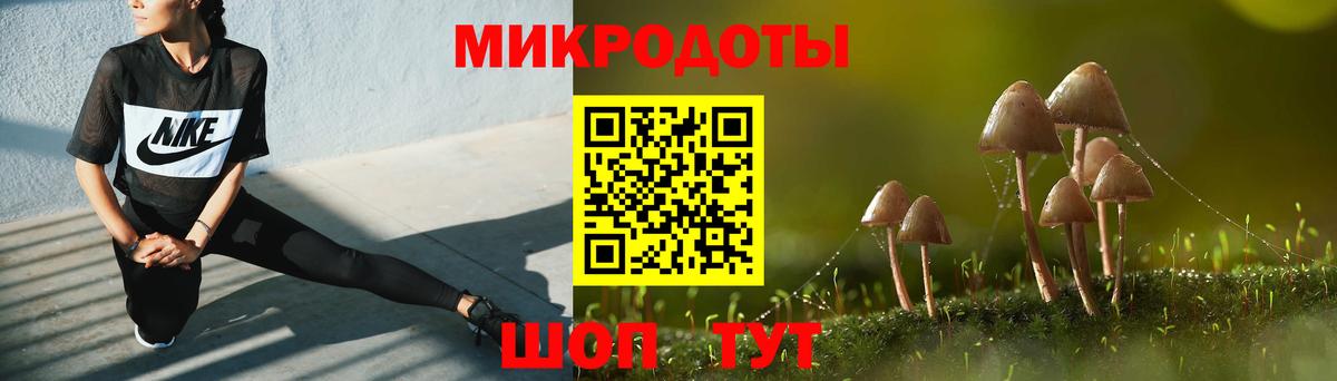 Нарьян-Мар  Псилоцибиновые грибы мухоморы  Вход с VPN  Псилоцибиновые грибы GOLDEN TEACHER 